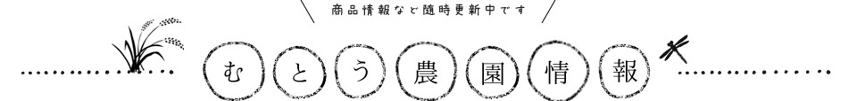 むとう農園情報